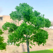 Load image into Gallery viewer, 3pcs 10/14cm Light Green Wire Trunk Model Trees for Dioramas, Train Layouts, Fairy Garden, Micro Landscape Crafting, Scene Building Supplies