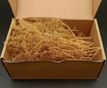 Load image into Gallery viewer, Miniature Quinoa Tree Model: DIY Scenery, Dollhouse, Diorama