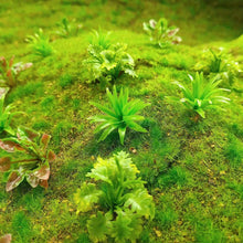 Load image into Gallery viewer, 45pcs Miniature Model Shrubs & Bushes Plastic Scenery Plants for Diorama, Train Layout, Model Making
