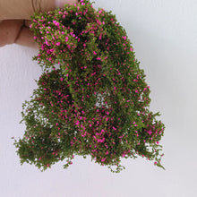 Load image into Gallery viewer, Miniature Flower Bush Scenery Material 6g Diorama Landscape Grass for Model Railway Garden Scene DIY projects