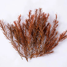 Load image into Gallery viewer, Miniature Wetland Reed Plants and Long Leaf Grass Clusters for HO OO N Scale Dioramas, Military Scenery, Micro Landscapes and Model Making