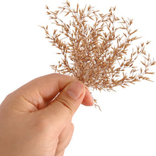 Load image into Gallery viewer, Natural Dry Grass Model Scenery for HO N Scale Railway Diorama Miniature Landscape Material