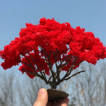 Load image into Gallery viewer, Miniature Red Wire Tree Model 10/15cm for Diorama Railway Layout Landscape Craft Supply