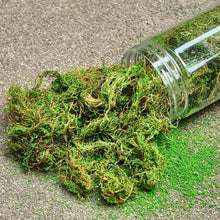 Load image into Gallery viewer, 200ml Creeper Vine Model Foliage for Miniatures, Wargame Terrain, Diorama Landscaping Grass, DIY Micro Scenery Plants, Craft Supplies