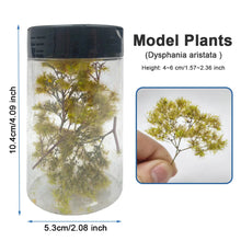 Load image into Gallery viewer, Miniature Tree Branches, Model Railway Diorama Scenery (1 Box)