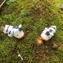 Load image into Gallery viewer, 5/10 pcs Miniature Cute Zebra Horse Figure Model DIY Scenery Dollhouse Landscape Fairy Garden Accessories Terrarium Diorama Craft Supplies