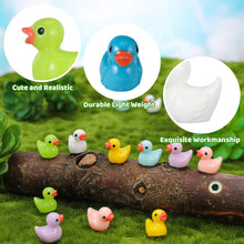Load image into Gallery viewer, 50 pcs Mixed Miniature Little Duck Figure Model DIY Scenery Dollhouse Landscape Fairy Garden Accessories Terrarium Diorama Craft Supplies