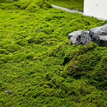 Load image into Gallery viewer, Artificial Moss Mat for Dioramas, Miniature Landscape Grass Sheet, Model Railway Scenery, Fairy Garden