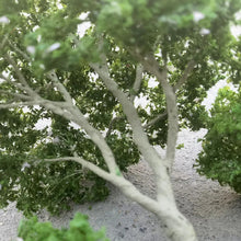 Load image into Gallery viewer, 10/15/18/23/28cm Miniature White Flowering Green Tree Model Train Railway Layout Dollhouse Garden Landscape Terrarium Diorama Craft Supplies