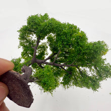 Load image into Gallery viewer, 8cm Miniature Mountain Pine Wire Tree Model N Scale Train Railway Layout DIY Landscape Dollhouse Garden Terrarium Diorama Craft Supplies