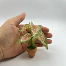 Load image into Gallery viewer, 1/12 Scale Dollhouse Mini Taro Turtle Back Plant, Green Potted Plant Miniature, Scandinavian Style Decor, Mini Garden Scene Accessory