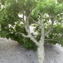 Load image into Gallery viewer, 10/15/18/23/28cm Miniature White Flowering Green Tree Model Train Railway Layout Dollhouse Garden Landscape Terrarium Diorama Craft Supplies