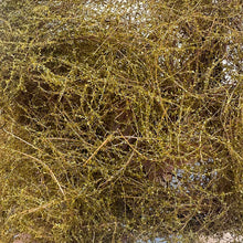 Load image into Gallery viewer, Miniature Vine Model for Diorama Scenery, Train Layout, Wargame Terrain, Sand Table Vegetation Craft Supply