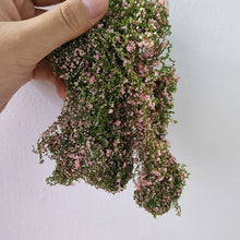 Load image into Gallery viewer, Miniature Flower Bush Scenery Material 6g Diorama Landscape Grass for Model Railway Garden Scene DIY projects