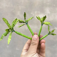 Load image into Gallery viewer, 5 pcs 5/6/7.5/9cm Miniature Banana Coconut Palm Tree Model Train Railway Layout DIY Landscape Dollhouse Terrarium Diorama Craft Supplies