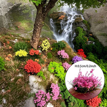 Load image into Gallery viewer, 32pcs Miniature Flower Clusters 5mm HO N Scale for Diorama Scenery, Landscaping Supply