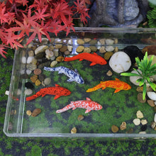 Load image into Gallery viewer, 5pcs Miniatures Koi Fish Resin Models for Micro Landscape Diorama Dollhouse Decor Aquarium Scene DIY Craft Supplies