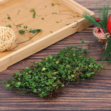 Load image into Gallery viewer, 1 Box Green Simulation Vine for Diorama Model Scenery, Miniature Landscape, Dollhouse, Sand Table, Wargame Terrain Craft Supplies