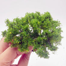 Load image into Gallery viewer, 8cm Miniature Mountain Pine Wire Tree Model N Scale Train Railway Layout DIY Landscape Dollhouse Garden Terrarium Diorama Craft Supplies