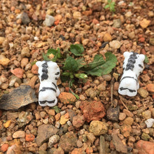 Load image into Gallery viewer, 5/10 pcs Miniature Cute Zebra Horse Figure Model DIY Scenery Dollhouse Landscape Fairy Garden Accessories Terrarium Diorama Craft Supplies