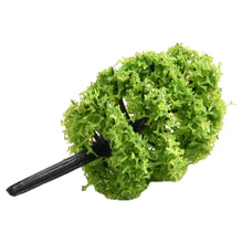 Load image into Gallery viewer, 40 pcs 3.5cm Miniature Camphor tree Model Scale 1:100 Train Railway Accessories DIY Scenery Landscape Terrarium Diorama Craft Supplies