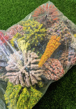 Load image into Gallery viewer, 30/50 pcs Mixed Miniature Flowering Tree Models Train Railway Layout Accessories DIY Landscape Dollhouse Terrarium Diorama Craft Supplies