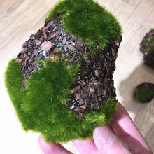 Load image into Gallery viewer, 6 pcs Miniature Moss Stone Rock Models Train Railway Accessories DIY Scene Fairy Garden Landscape Dollhouse Terrarium Diorama Craft Supplies