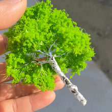 Load image into Gallery viewer, 3pcs 10/14cm Light Green Wire Trunk Model Trees for Dioramas, Train Layouts, Fairy Garden, Micro Landscape Crafting, Scene Building Supplies