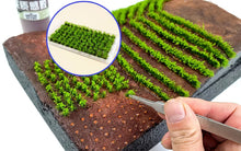 Load image into Gallery viewer, Miniature Tea Field Grass Clusters for Diorama & Model Layouts DIY Landscape Terrain Craft Supplies