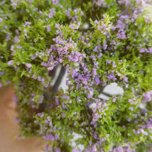 Load image into Gallery viewer, 25cm Miniature Purple Flowering Wire Tree Model G Scale Dollhouse Fairy Garden Scenery Landscape Terrarium Diorama Craft Supplies