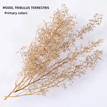 Load image into Gallery viewer, Miniature Bush Trees Model 5 Colors Vegetation for HO N Scale Train Layouts, DIY Diorama, Wargames, Model landscapes, and Craft Supplies