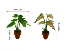 Load image into Gallery viewer, 1/12 Scale Dollhouse Mini Taro Turtle Back Plant, Green Potted Plant Miniature, Scandinavian Style Decor, Mini Garden Scene Accessory