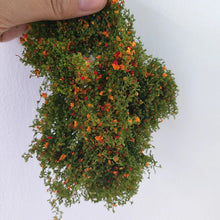 Load image into Gallery viewer, Miniature Flower Bush Scenery Material 6g Diorama Landscape Grass for Model Railway Garden Scene DIY projects