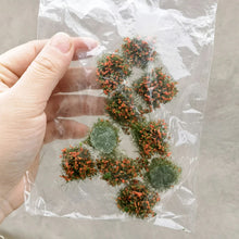 Load image into Gallery viewer, 10 pcs Miniature Flower Cluster Grass Models DIY Sand Table Dollhouse Accessories Fairy Garden Landscape Terrarium Diorama Craft Supplies