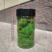 Load image into Gallery viewer, 200ml Creeper Vine Model Foliage for Miniatures, Wargame Terrain, Diorama Landscaping Grass, DIY Micro Scenery Plants, Craft Supplies