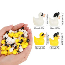 Load image into Gallery viewer, 20/40pcs Mixed Mini Pirate Ducks, Cute Resin Miniature Figurines for Fairy Garden, Micro Landscape, DIY Crafts, Potted Plant Decoration