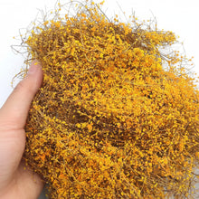 Load image into Gallery viewer, Miniature Hay Vine Grass for Diorama, Early Spring Model Scenery Material, Landscape DIY Supply
