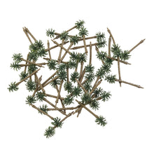 Load image into Gallery viewer, 50 pcs 7cm Miniature Coconut Palm Tree Models N HO Scale Railway Layout Accessories DIY Landscape Dollhouse Terrarium Diorama Craft Supplies