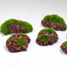 Load image into Gallery viewer, 6 pcs Miniature Moss Stone Rock Models Train Railway Accessories DIY Scene Fairy Garden Landscape Dollhouse Terrarium Diorama Craft Supplies