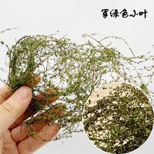 Load image into Gallery viewer, Miniature Vine Model for Diorama Scenery, Train Layout, Wargame Terrain, Sand Table Vegetation Craft Supply
