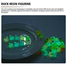 Load image into Gallery viewer, 100 pcs Mixed Miniature Little Duck Model Glow in Dark DIY Dollhouse Landscape Fairy Garden Accessories Terrarium Diorama Craft Supplies