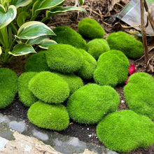 Load image into Gallery viewer, 5/10/20 pcs Miniature Green Moss Rock Stone Model Pot Decoration DIY Landscape Dollhouse Fairy Garden Terrarium Diorama Craft Supplies