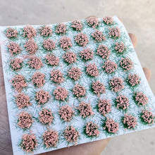 Load image into Gallery viewer, 49 pcs Miniature Flower Cluster Grass Tufts Models Sand Table Dollhouse Fairy Garden Landscape Terrarium Diorama Craft Supplies