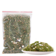 Load image into Gallery viewer, 30g Static Grass Cluster Powder with Stones and Leaves for Diorama Railway Scene Building Sand Table Landscape Decoration Craft Supply