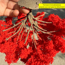 Load image into Gallery viewer, Miniature Red Wire Tree Model 10/15cm for Diorama Railway Layout Landscape Craft Supply