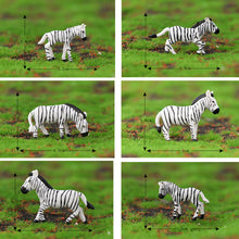 Load image into Gallery viewer, Miniature Zebra Figures Set, Small Scale Animal Models for Diorama, Model Train Layout, Scenery Craft Supplies (12pcs)