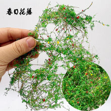 Load image into Gallery viewer, Miniature Vine Model for Diorama Scenery, Train Layout, Wargame Terrain, Sand Table Vegetation Craft Supply