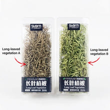 Load image into Gallery viewer, Miniature Long Leaf Vegetation Reed Grass Model Train Railway Accessories DIY Scenery Landscape Dollhouse Terrarium Diorama Craft Supplies