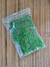 Load image into Gallery viewer, Miniature Flower Bush Scenery Material 6g Diorama Landscape Grass for Model Railway Garden Scene DIY projects