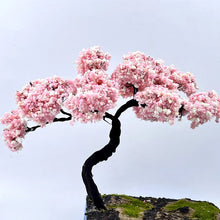 Load image into Gallery viewer, 10/12/15/17/20cm Miniature Sakura Cherry Blossom Wire Tree Model Dollhouse Fairy Garden Scenery Landscape Terrarium Diorama Craft Supplies